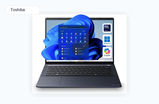 Dynabook Toshiba Firmware Driver Update 200.120.0.0